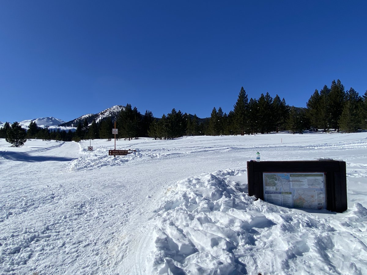 Inyo National Forest tweet media