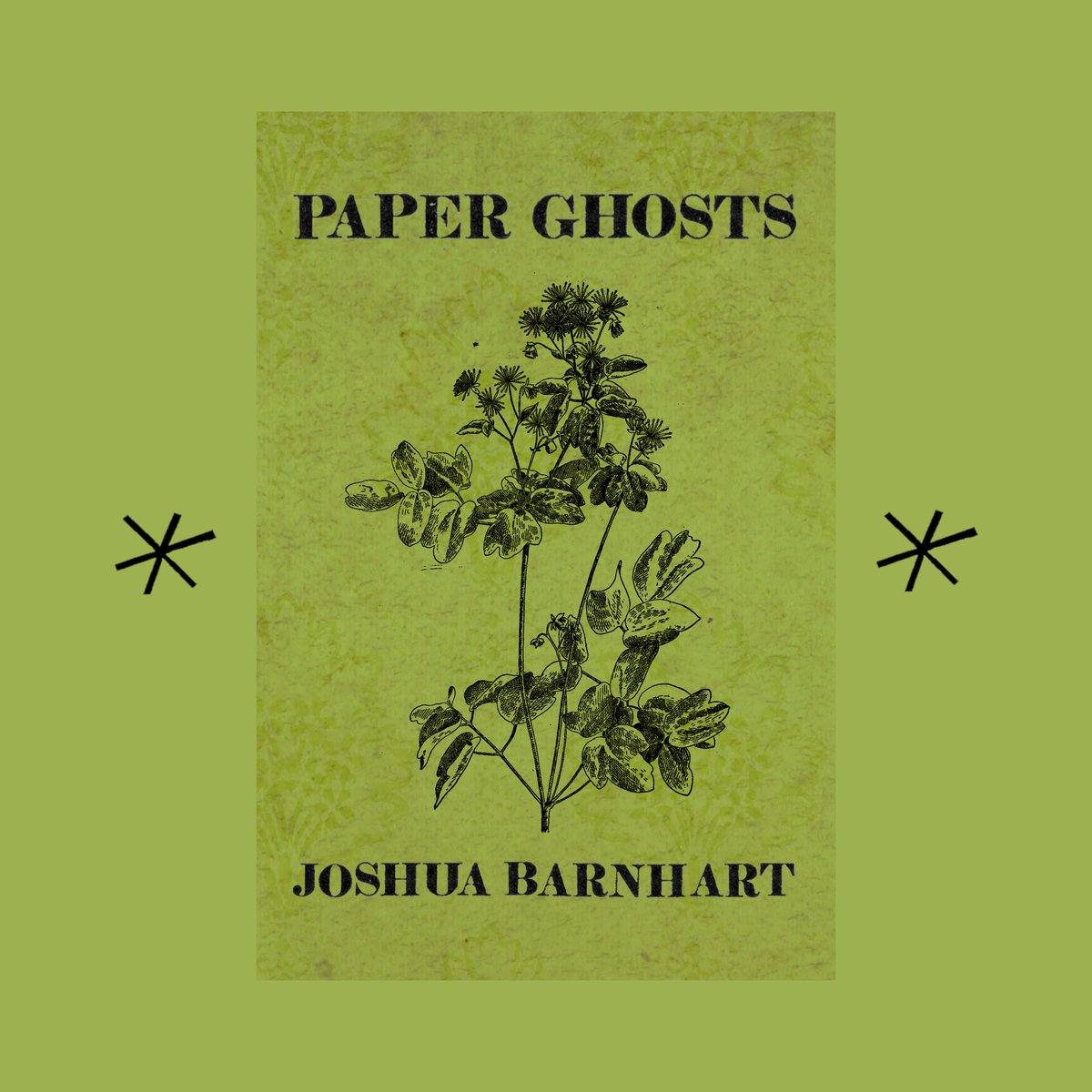Josh_Barnhart's tweet photo. ✨Hey!✨ I’m excited to announce my brand new chapbook, Paper Ghosts, with Bottlecap Press! I’m so grateful for this opportunity and for everyone who helped make this thing a reality. You can pick one up here: https://t.co/HKRrCkKgAD https://t.co/z5av76xPMN