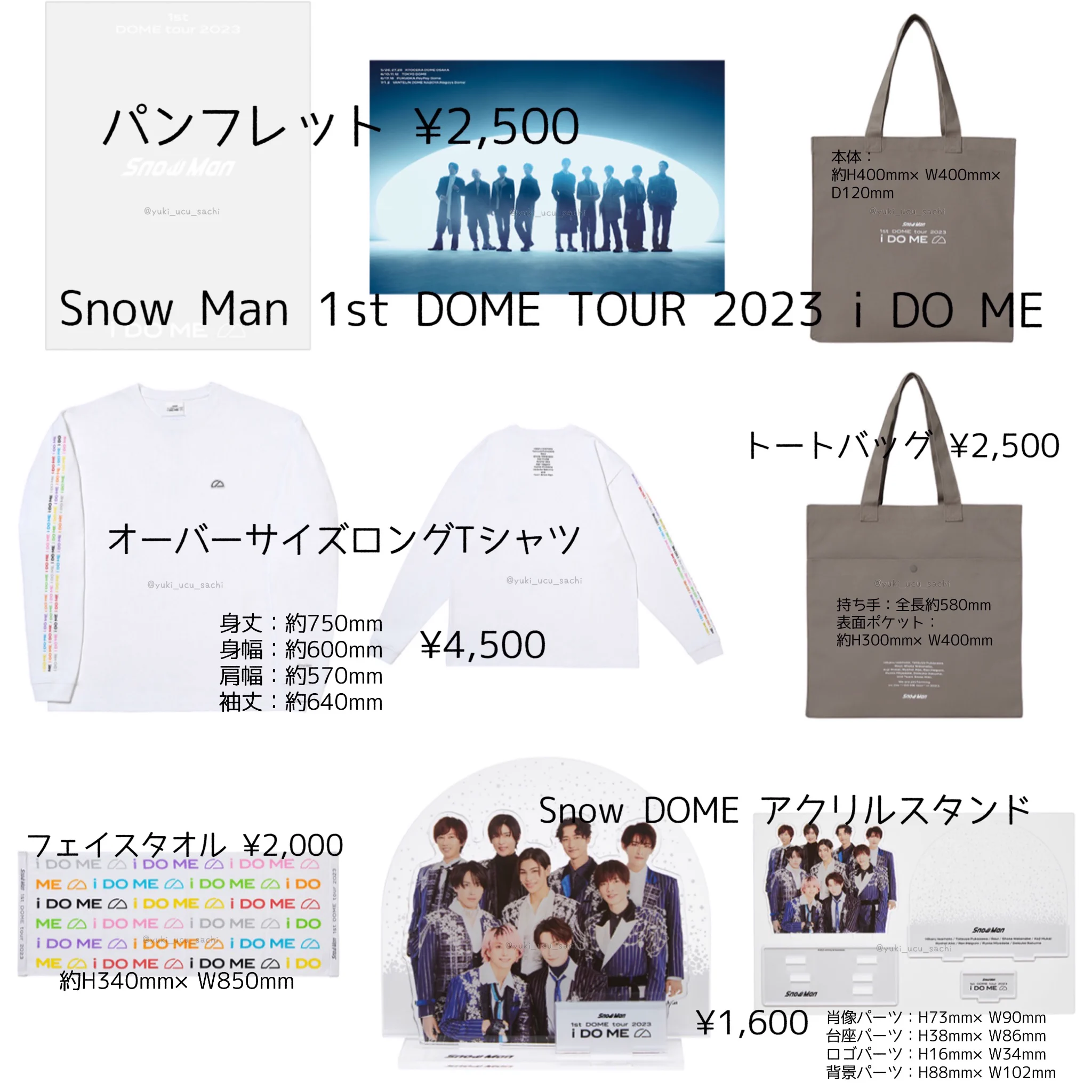 🐺☁️🩵🌸ユキさち。🌍❤️🌸💍 sur X : « Snow Man 1st DOME TOUR