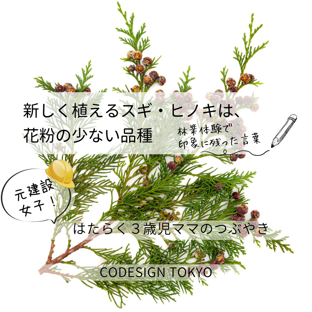 codesign_tokyo's tweet photo. \\ Instagramも更新中 //
約30年前、初めて発見された #無花粉スギ は、富山市の神社に植わっていたそうです。
#花粉症 #花粉の少ないスギ #林業 #元建設女子のつぶやき 
See this Instagram photo by @codesigntokyo_staff
https://t.co/Jr9TUfzEMd https://t.co/54aRXs6mM9