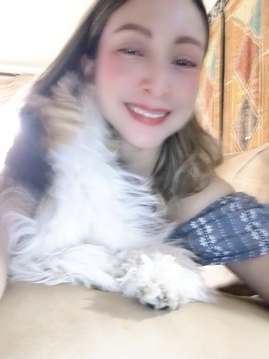 Aliciayqlease's tweet photo. Con la q no se deja tomar fotos #Daisy #cachorra #shitzus #dogsoftwitter https://t.co/wrtEsB9nyq