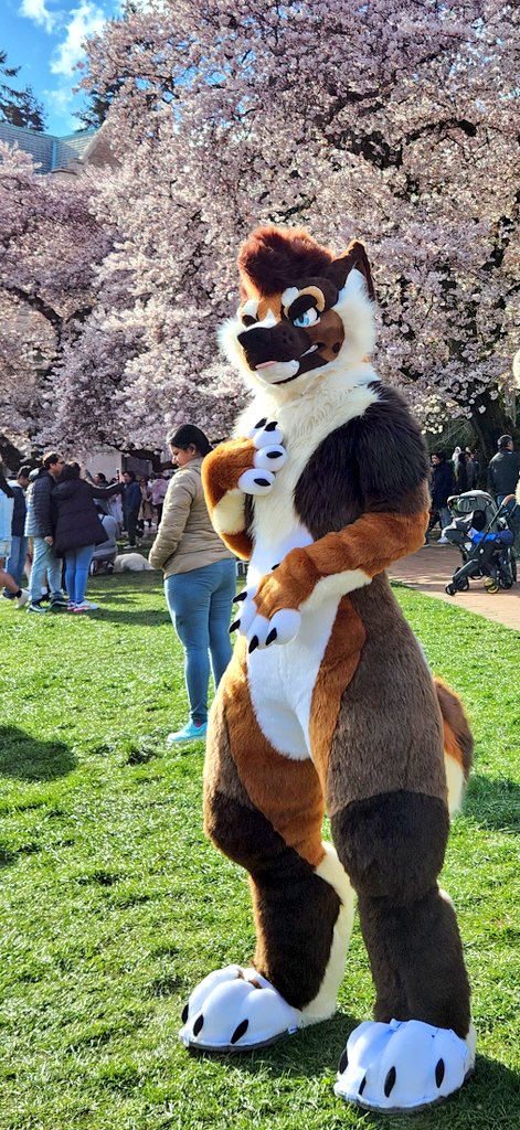 𝙢𝙖𝙨𝙤𝙣 🔜 LVFC tweet media