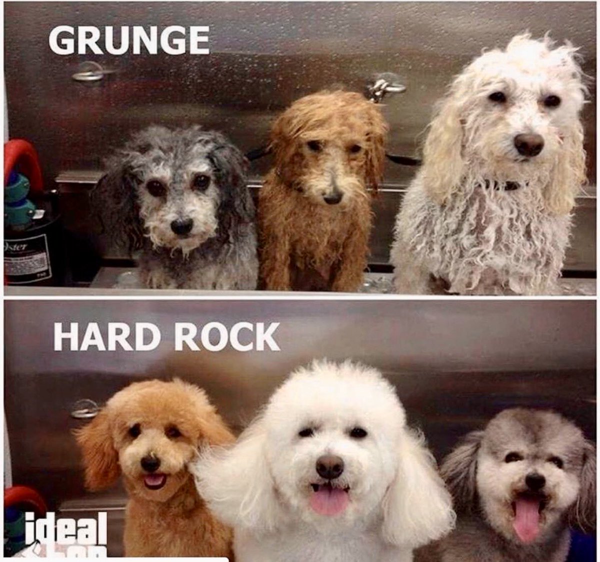 davidcoverdale's tweet photo. 😂😂😂😂😂 https://t.co/MZK80SAJw8