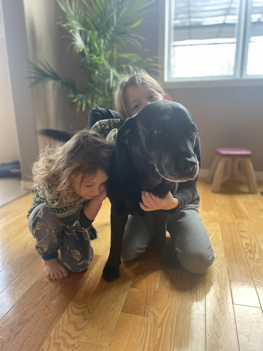 Because she is the 4-legged love of my life, I’m sharing that our girl Penny turned 10 today🎉