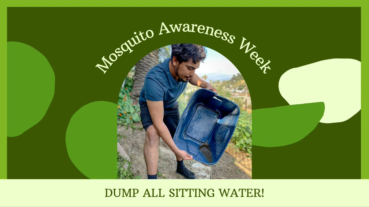 After record amounts of rain, it’s important to dump and drain all standing water. 
#tipNtoss #MosquitoWeek