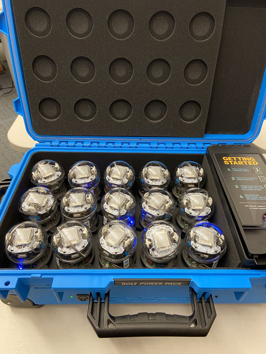 ellen fishter tweet media