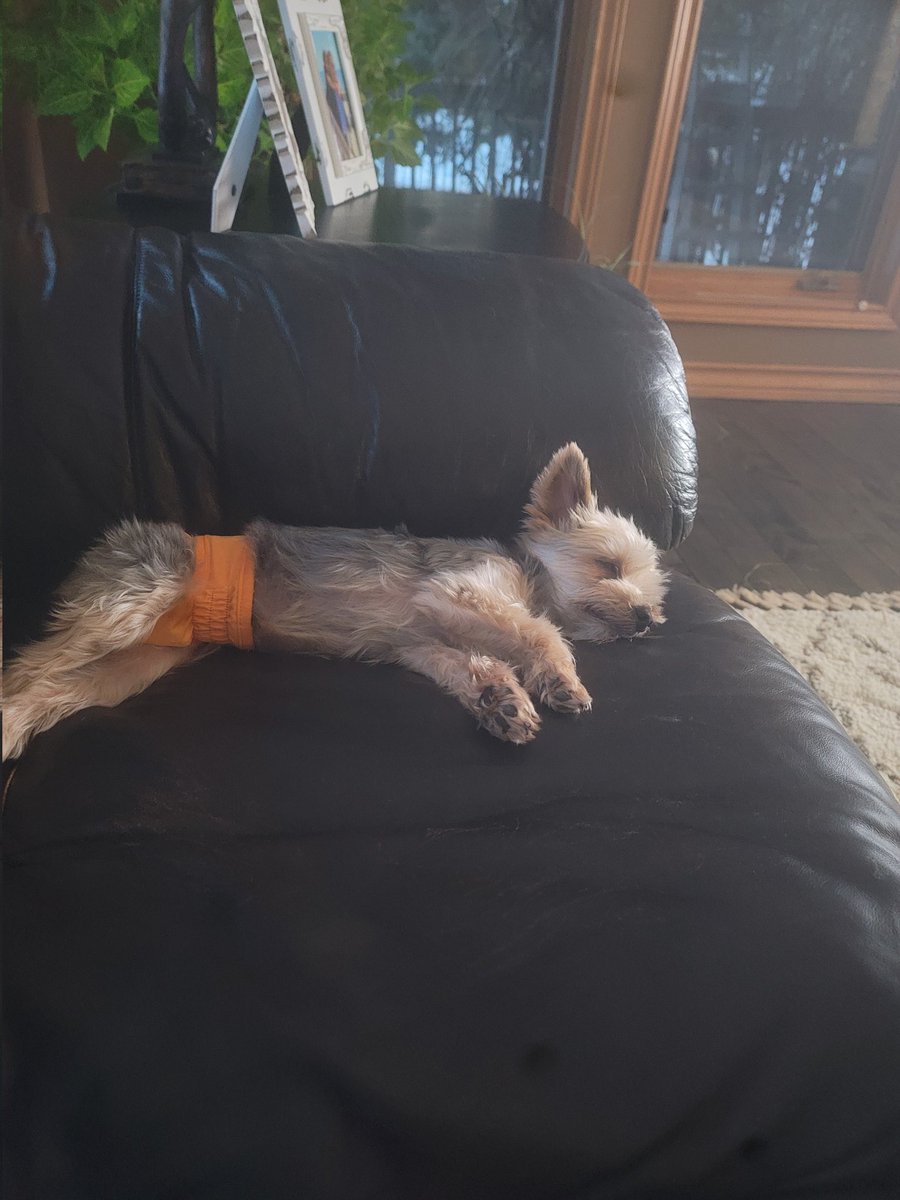 Etienne Esquega tweet media