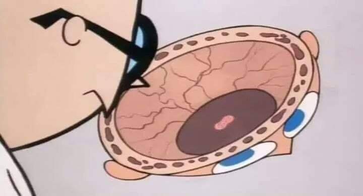 los que quieren votar por Payo y encima DEFIENDEN su voto