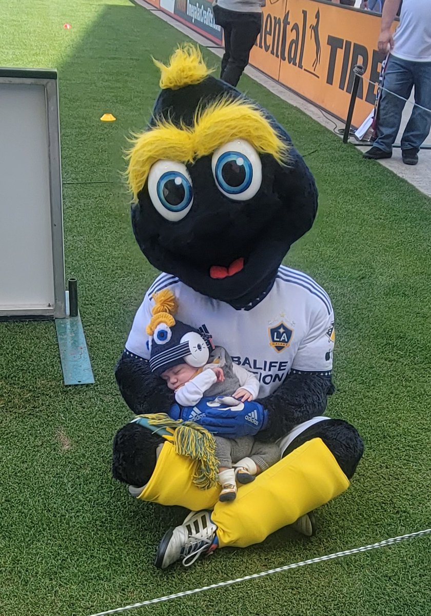 Best part of the game was when my baby got on the jumbo tron! #LAGalaxy    <a href="/CozmoLAGalaxy/">Cozmo LA Galaxy</a>