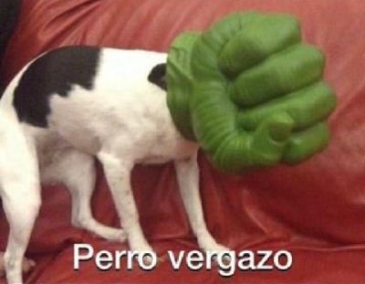 Xerrito's tweet photo. @Alainwho @Williamhjtlax @extraquique @dragamaravilla @VIHveLibre https://t.co/82KHF2Borv