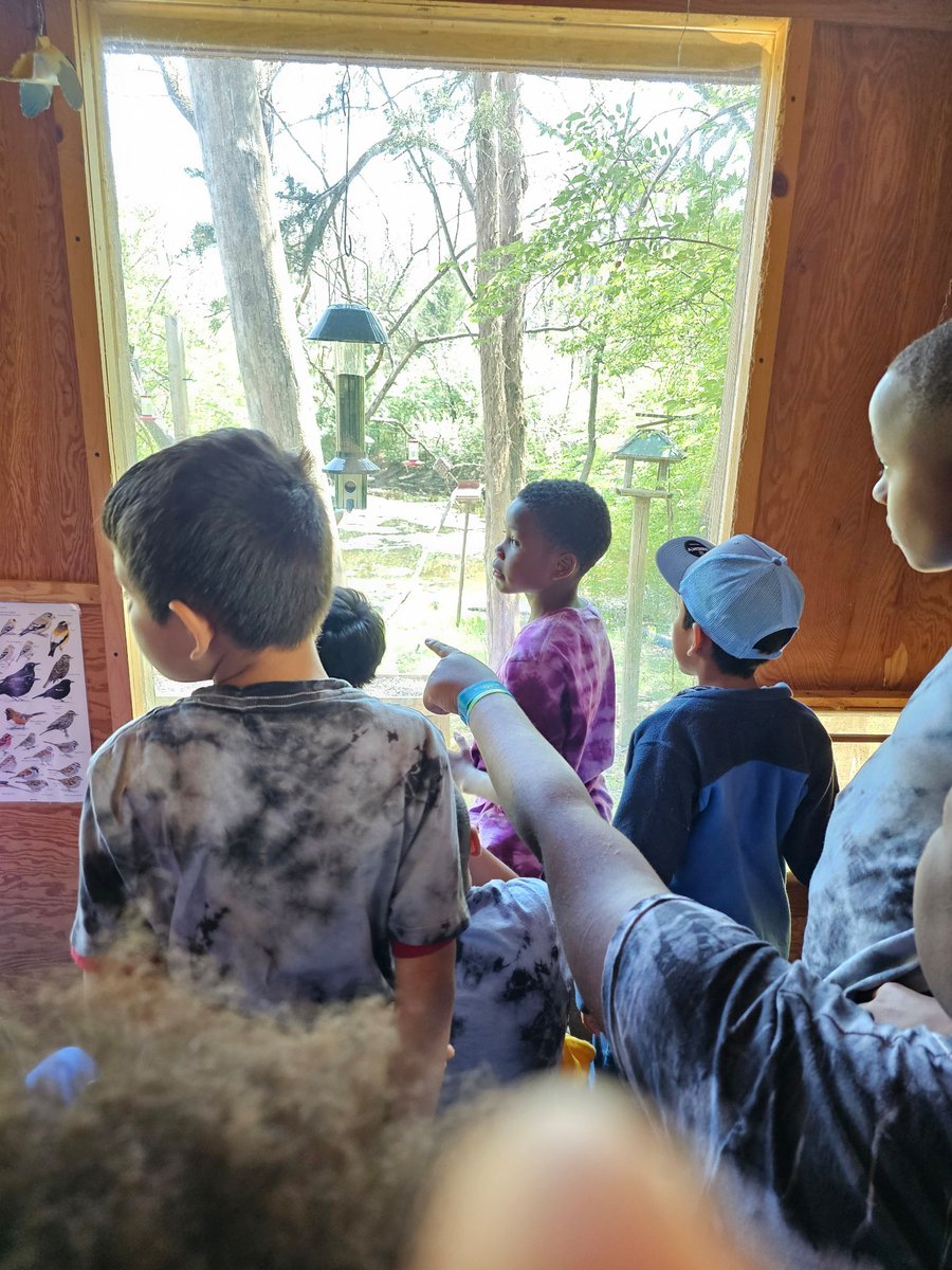 Diana M Smith, Ed.S tweet media