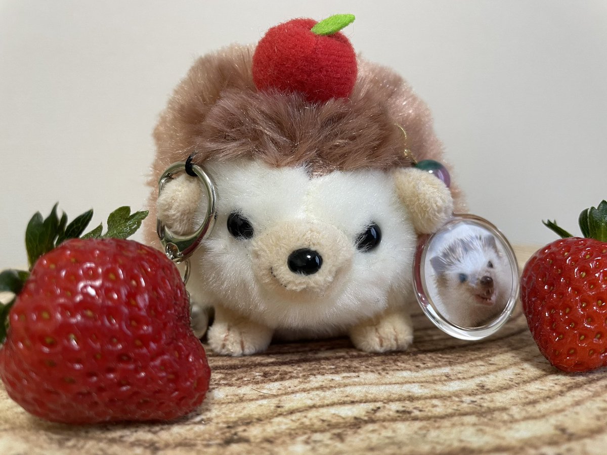 chagm0218's tweet photo. チャグムとエリンへ。
3年目にしてイチゴが沢山収穫できそうです🍓 https://t.co/7GryWdJBFB
