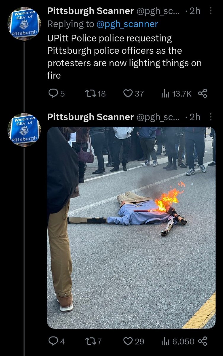 Beyond fucking comedic. Hoping those protesters burn everything.