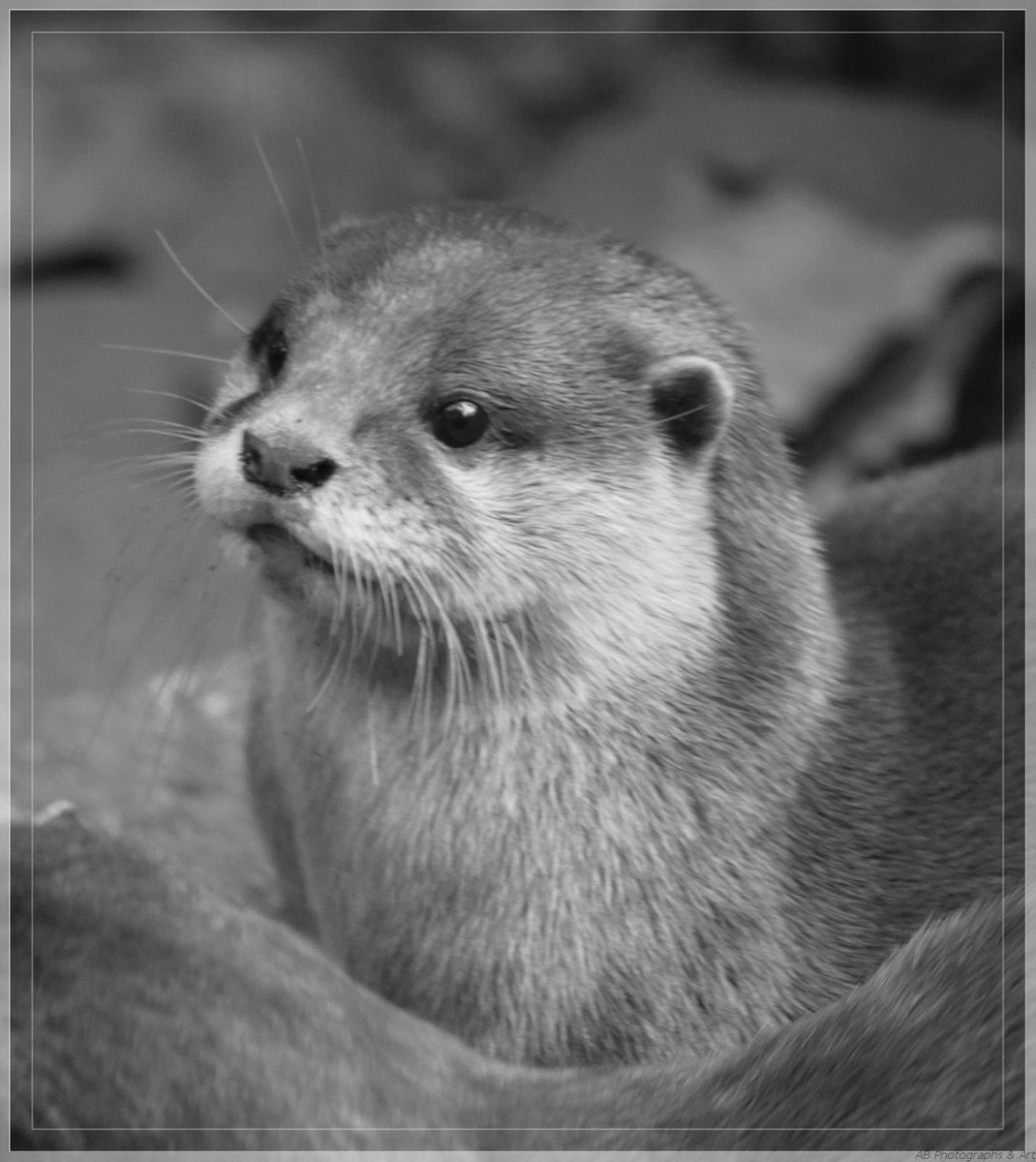 Keep it going. Drop a black and white photo of yourself.