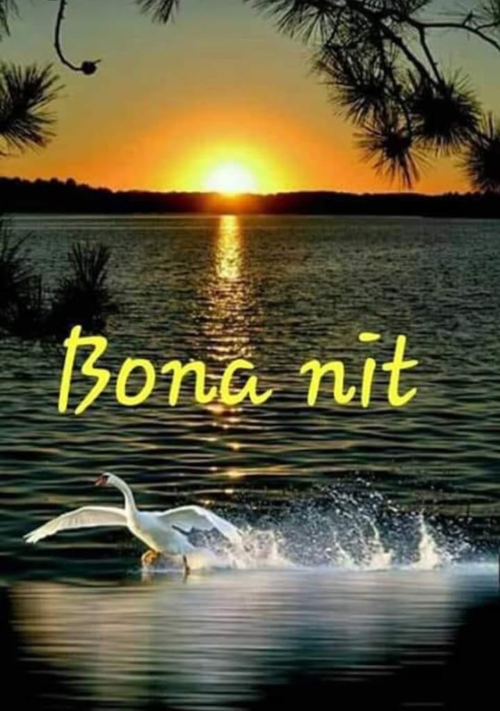 Mari Jose Jurado (@marijosejurado1) on Twitter photo 