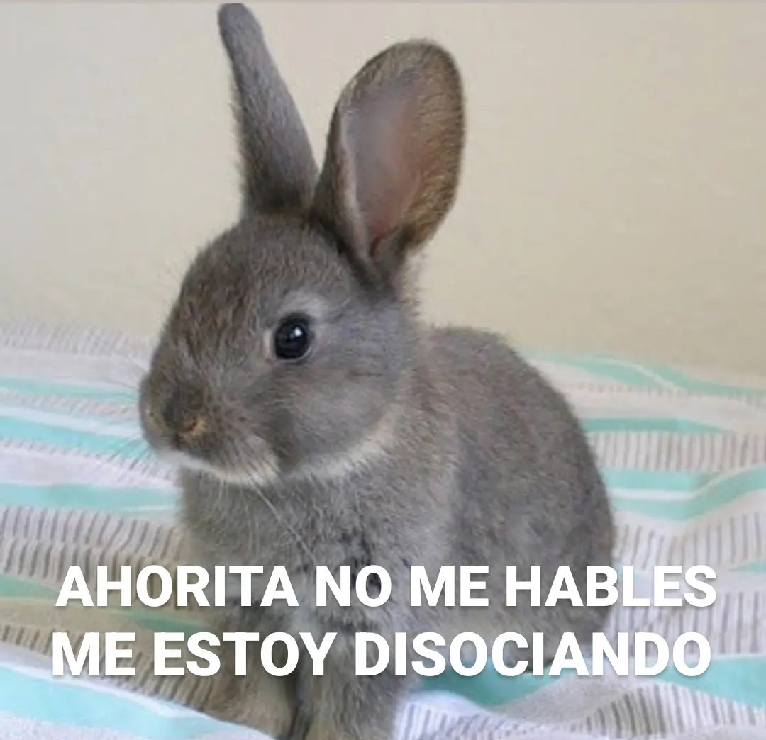 biciclotimia's tweet photo. https://t.co/wRTiCM7w1a