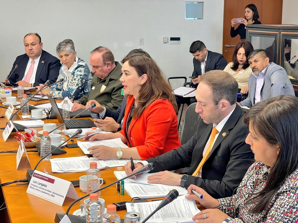 Candelaria___'s tweet photo. En el marco de la  Reunión Anual del Diálogo de Alto Nivel México Canadá, la Coordinadora de #Pasaportes de la @SRE_mx presentó la fortaleza del #PasaporteElectrónico que hoy nos ubica en el lugar 16 de 190 países.
#SeguimosAvanzando https://t.co/V7KGTJm1yG