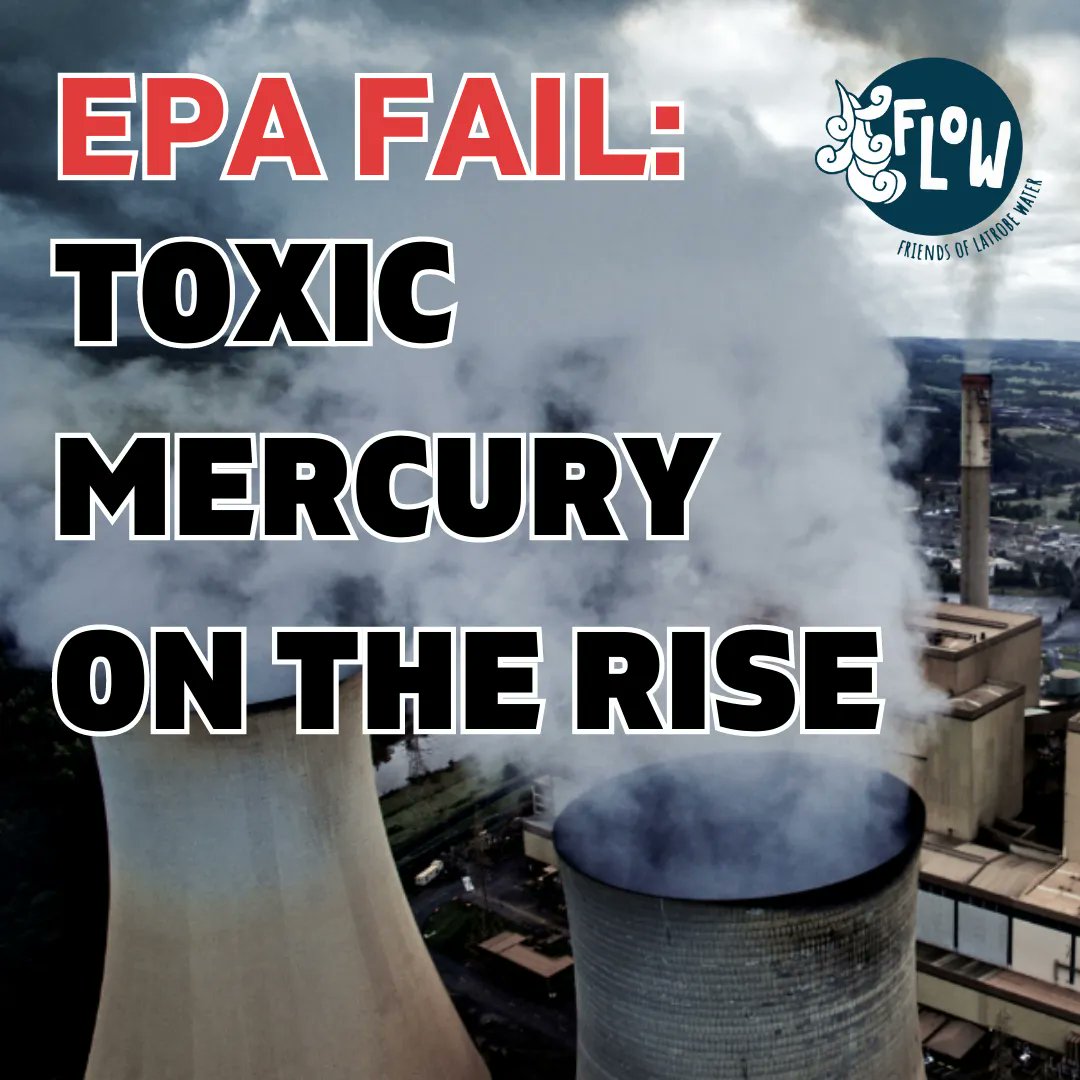 Gippslanders are being exposed to a staggering 1050kg of dangerous mercury each year, because the <a href="/VicGovEPA/">Environment Protection Authority Victoria</a> do not require bag filters which limit mercury exposure in NSW coal fired power stations.
flowlatrobe.org/toxic-mercury-…