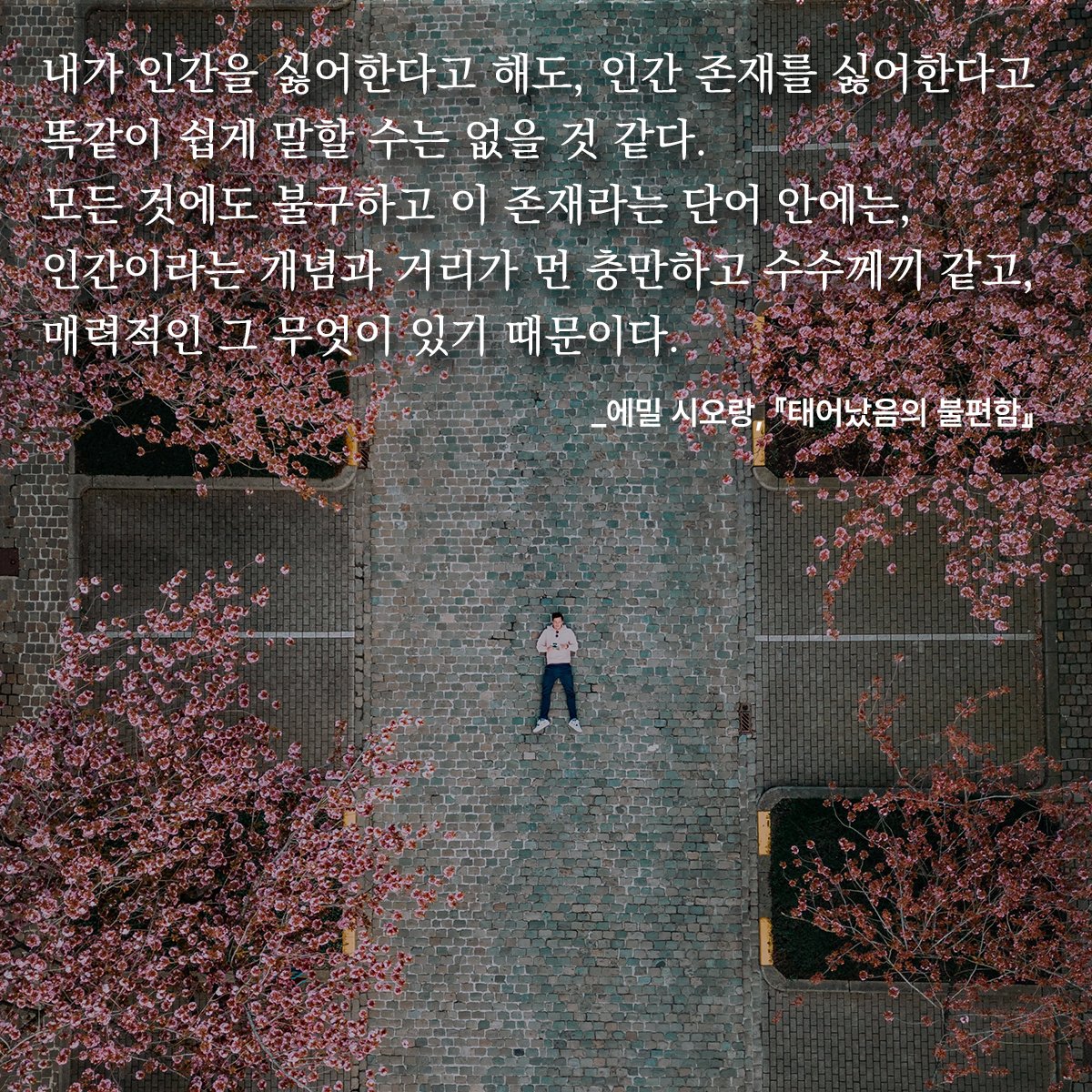 “태어남은 불편함이다. 태어남의 불편함, 태어남이라는 모욕. 태어나지 않는 것이 이론의 여지 없이 가장 좋은 방법이다.”

💧시오랑은 극단적인 비관주의자로 널리 알려져 있습니다. 생에는 아무 의미도 없으며, 우리가 할 수 있는 것은 무의미한 생을 견디는 것뿐이라고 이야기했을 정도입니다.