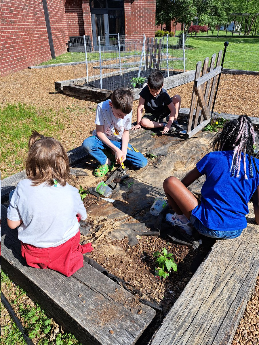 DegeorgeAnnette's tweet photo. Herbs are in the greenhouse and various peppers and tomatoes are in the garden, thanks yo the RHESS Garden Club. #BUZZWorthy @howell_stem @howellprincipal @dramaact1 https://t.co/KINp9VeWUb