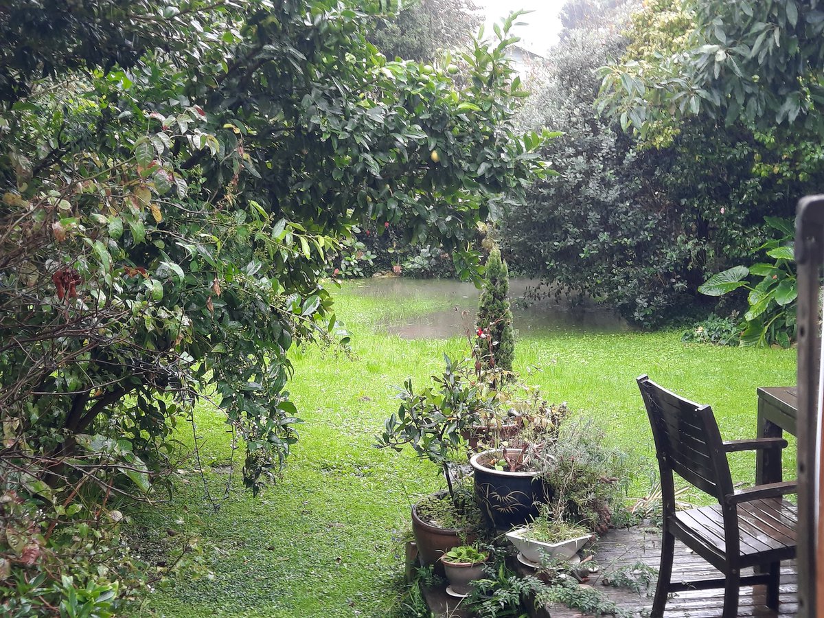 Bryan_Mulligan's tweet photo. Anyone fancy a swim in Lower Hutt's newest lake. Pick Feijoas while you're at it! https://t.co/H5FCdKps9q