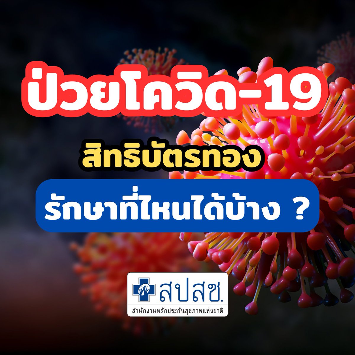 ‼️อัพเดท #ป่วยโควิด-19 สิทธิบัตรทอง 30 บาท (สิทธิหลักประกันสุขภาพแห่งชาติ) รักษาที่ไหนได้บ้าง ? 🏥>>bit.ly/41k2AEB

#สปสช  #สำนักงานหลักประกันสุขภาพแห่งชาติ #สายด่วนสปสช1330 #โควิด #Covid_19