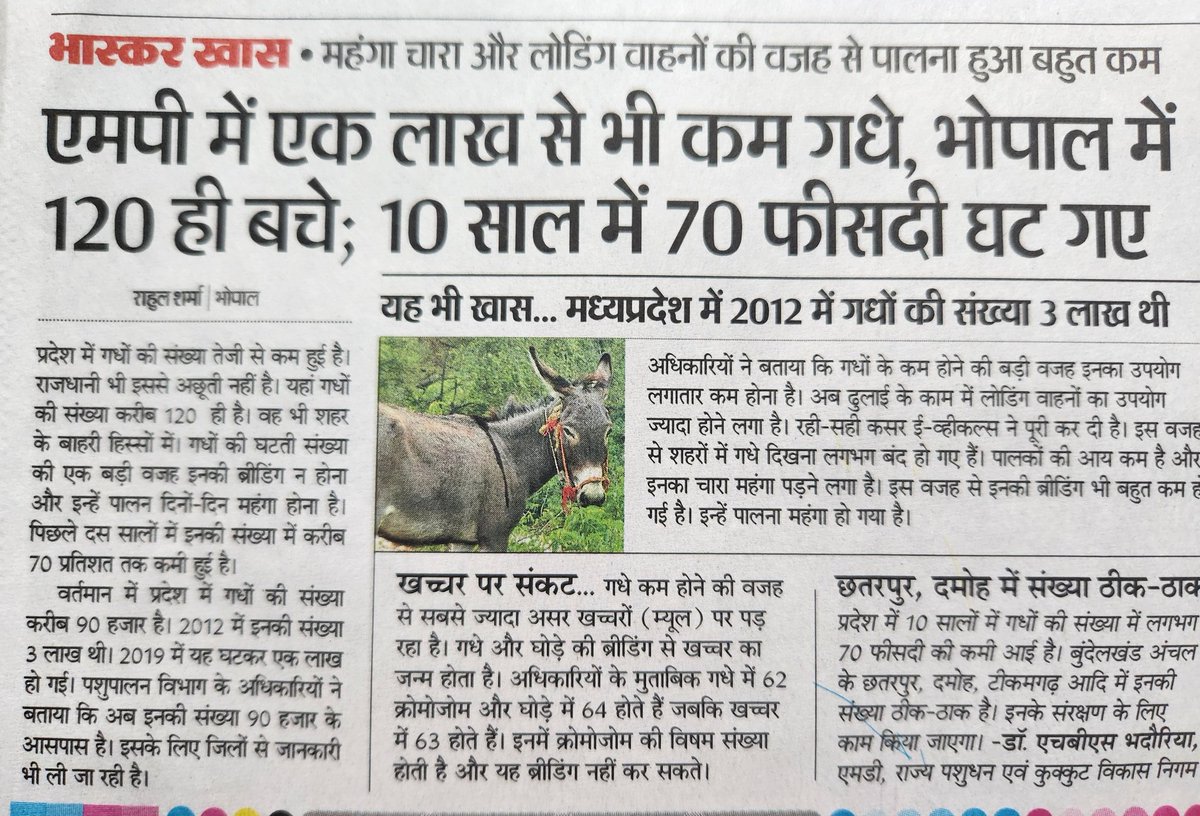 pravindubey121's tweet photo. आख़िर कहाँ जा रहे हैं एमपी से गधे 🤣 https://t.co/vJO5Qc8Ocb