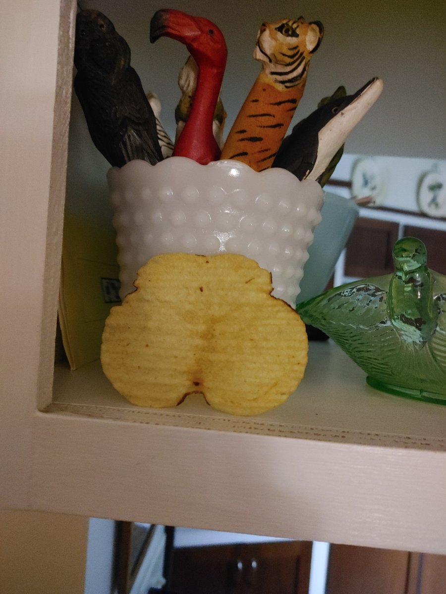 assformers's tweet photo. urgent: my mom found a potato chip in the shape of an ass. 

please. please spread the word. https://t.co/jxS64QMbyy