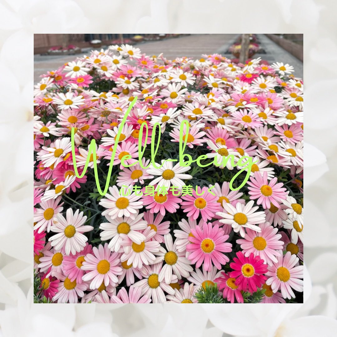 bishinlab's tweet image. 呼吸してますか？
浅くなってませんか？
一度深く息を吐ききってみて😮‍💨
自然と新鮮な空気が取り入れられる😊

午後もウェルビーイングに過ごしましょう🪷
#ウェルビーイング #体の健康 #心の幸せ