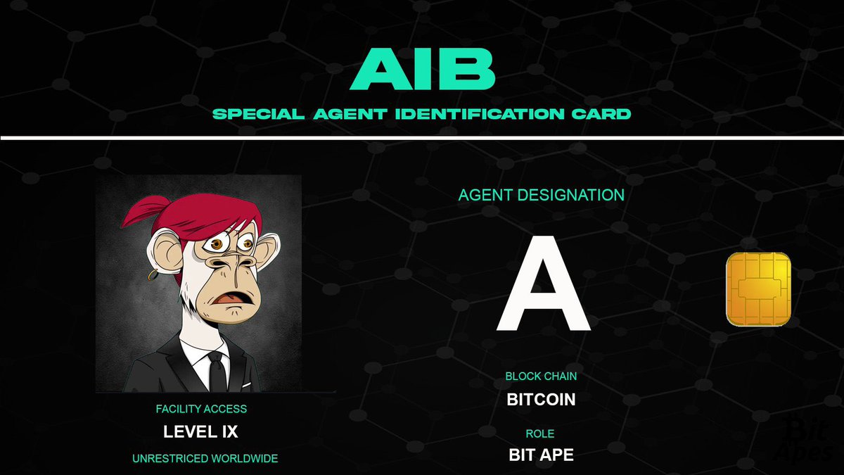 AlexaGawddess's tweet photo. Agent A reporting for duty 👑 

@theapesinblack about to shake up the @BitApes_btc marketplace. #traithunting #bitapes #communityutility https://t.co/FPAFxIiGJu