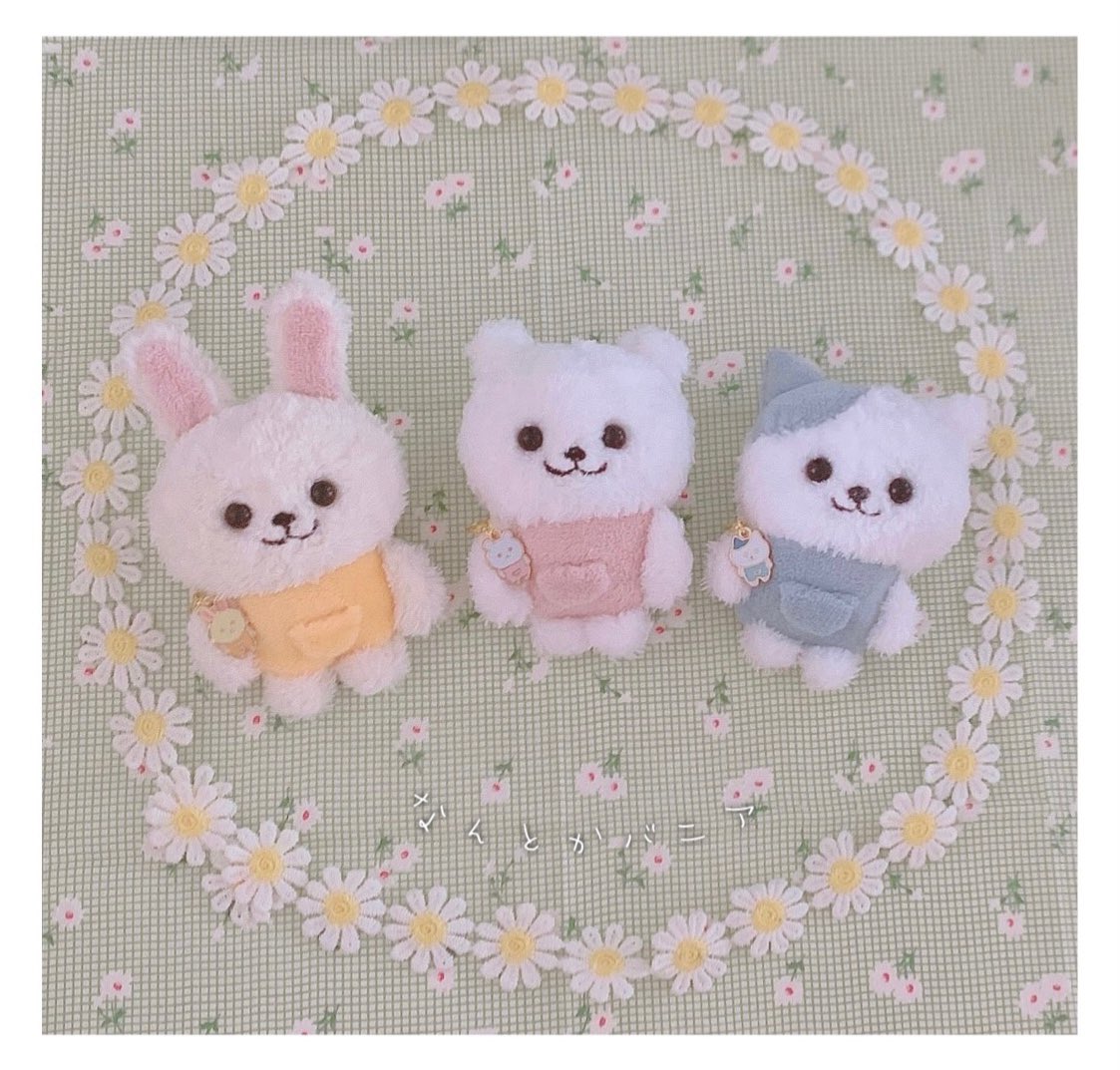 プルャ🐰ちい活専用 (@usagi925314106) / Posts / X