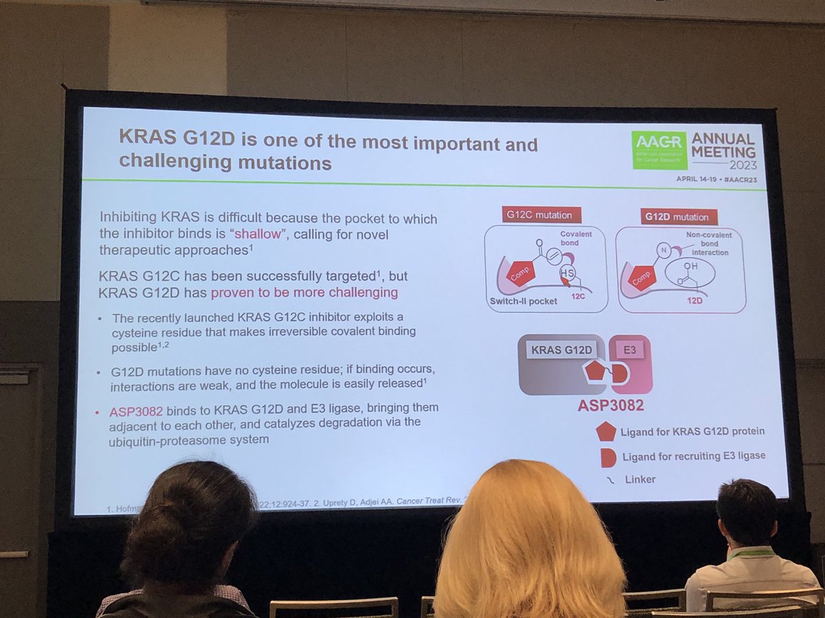 HartungIngo's tweet photo. Takeyuki Nagashima @AstellasUS was tight-lipped (understandably) when asked for more details about #KRasG12D degrader #ASP3082. The data he shared were still highly interesting &amp; form a milestone in therapeutically targeting yet another #KRas oncogene. #AACR23 #TPD #PROTACs https://t.co/02eNYWf0HS