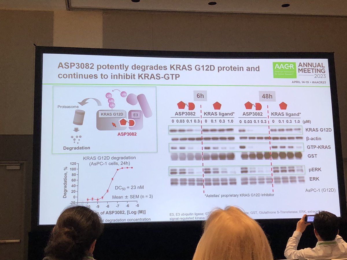 HartungIngo's tweet photo. Takeyuki Nagashima @AstellasUS was tight-lipped (understandably) when asked for more details about #KRasG12D degrader #ASP3082. The data he shared were still highly interesting &amp; form a milestone in therapeutically targeting yet another #KRas oncogene. #AACR23 #TPD #PROTACs https://t.co/02eNYWf0HS