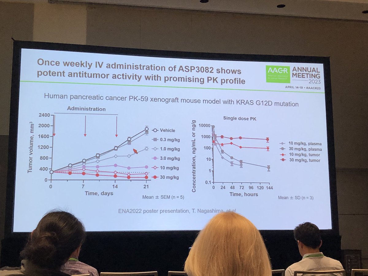HartungIngo's tweet photo. Takeyuki Nagashima @AstellasUS was tight-lipped (understandably) when asked for more details about #KRasG12D degrader #ASP3082. The data he shared were still highly interesting &amp; form a milestone in therapeutically targeting yet another #KRas oncogene. #AACR23 #TPD #PROTACs https://t.co/02eNYWf0HS
