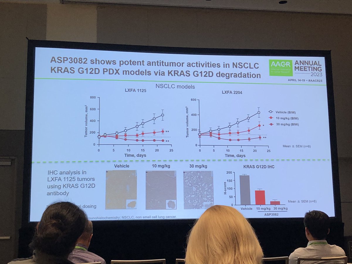 HartungIngo's tweet photo. Takeyuki Nagashima @AstellasUS was tight-lipped (understandably) when asked for more details about #KRasG12D degrader #ASP3082. The data he shared were still highly interesting &amp; form a milestone in therapeutically targeting yet another #KRas oncogene. #AACR23 #TPD #PROTACs https://t.co/02eNYWf0HS