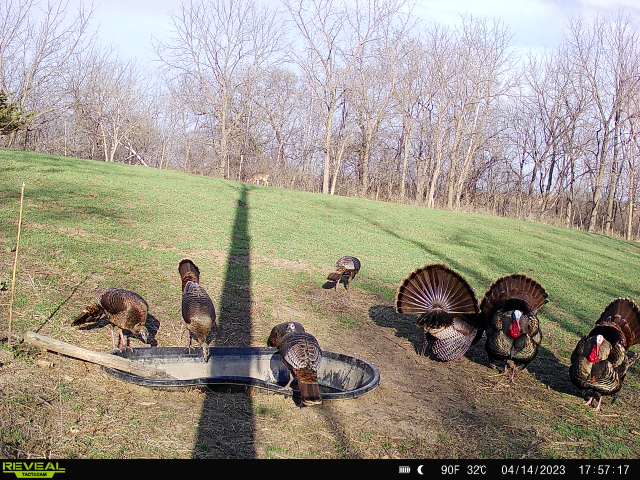 RackWater's tweet image. A @SkylineBlinds overlooking a RacH2O filled pond is a beautiful setup! After a hard winter, the deer and turkeys are hitting the RacH2O hard, especially with the recent heat wave. We know what stand location our WI customer will be at! @tactacam #turkeyhunting #turkeyopener