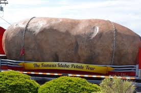 fasalc's tweet image. The world's largest potato weighed in at 18 pounds and 4 ounces, and was grown by a man in England in 1795. That's equivalent to the weight of about 75 baseballs! While it's not uncommon to find oversized vegetables in gardens, this potato was truly remarkable. #Gardening #FunFac