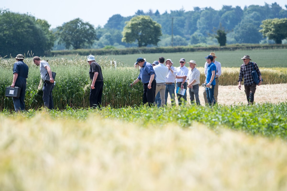 ArableEvent's tweet photo. We're looking forward to welcoming @qlfuk this year as first-time exhibitors! 🤝 @WynnstayGroup 
 
Can't wait until June 🌾 #ArableEvent #Sponsors

https://t.co/Q2n5XWe9wR https://t.co/qZQedPZvQ5
