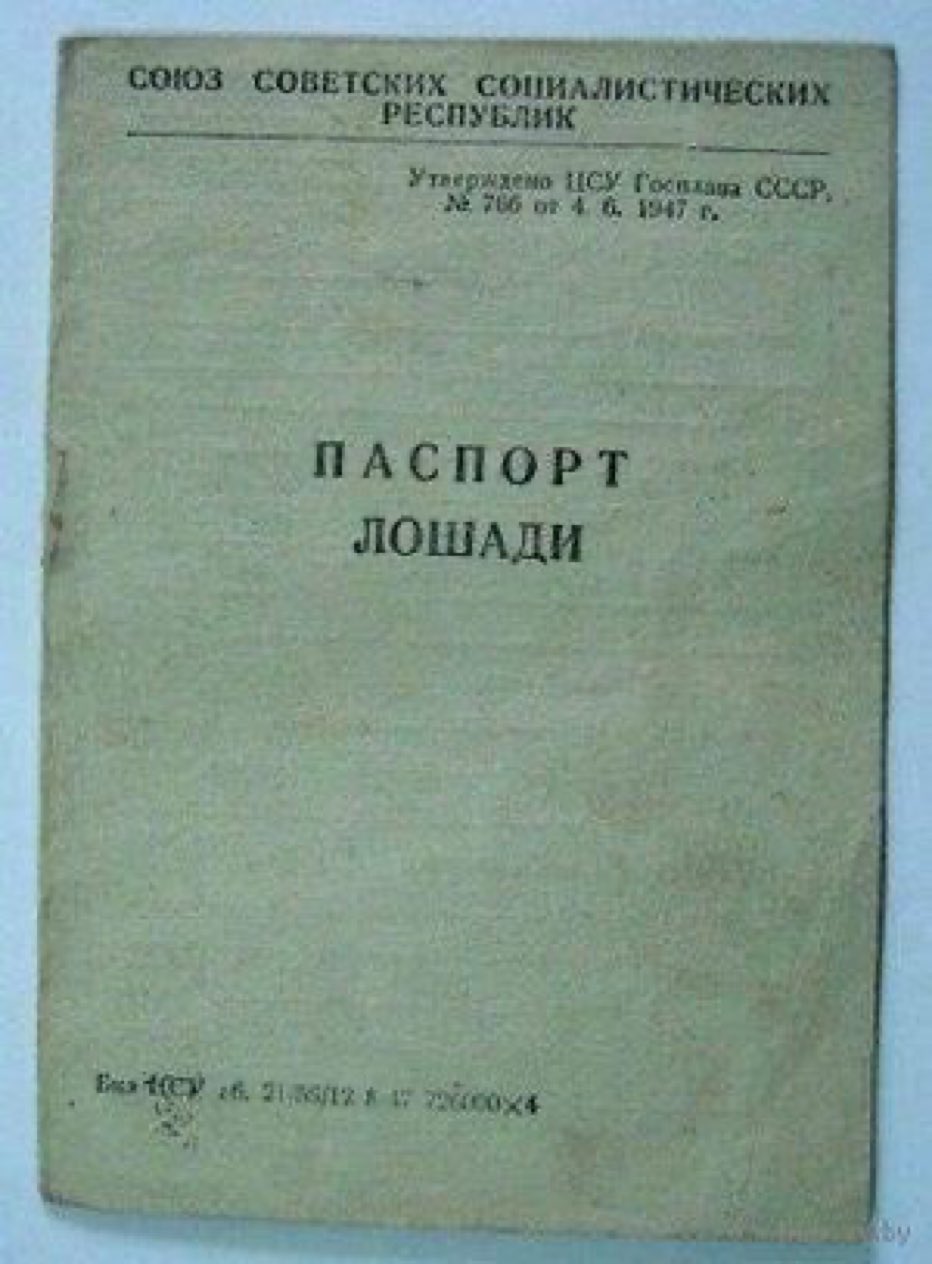 Лошадиный паспорт