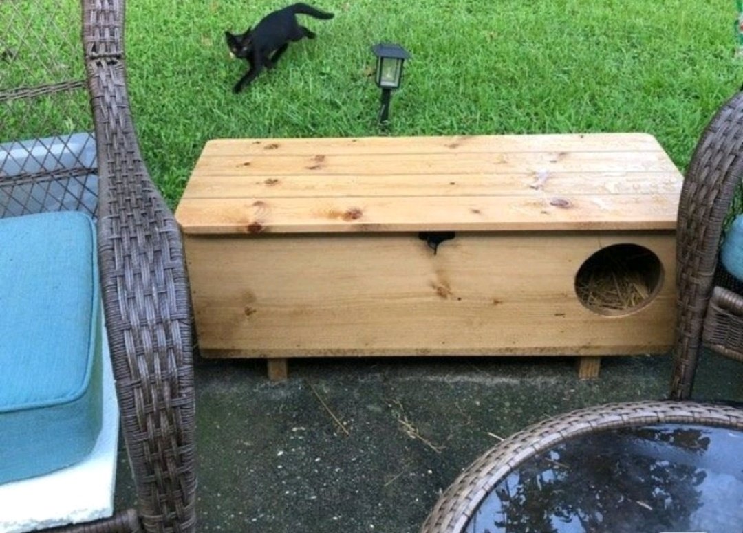 kochengfs's tweet photo. 🐈‍⬛ rumah-rumahan kaya gini belinya dimana ya? aku mau beli juga buat kucing jalanan di komplekku https://t.co/YwgxGsjbq1