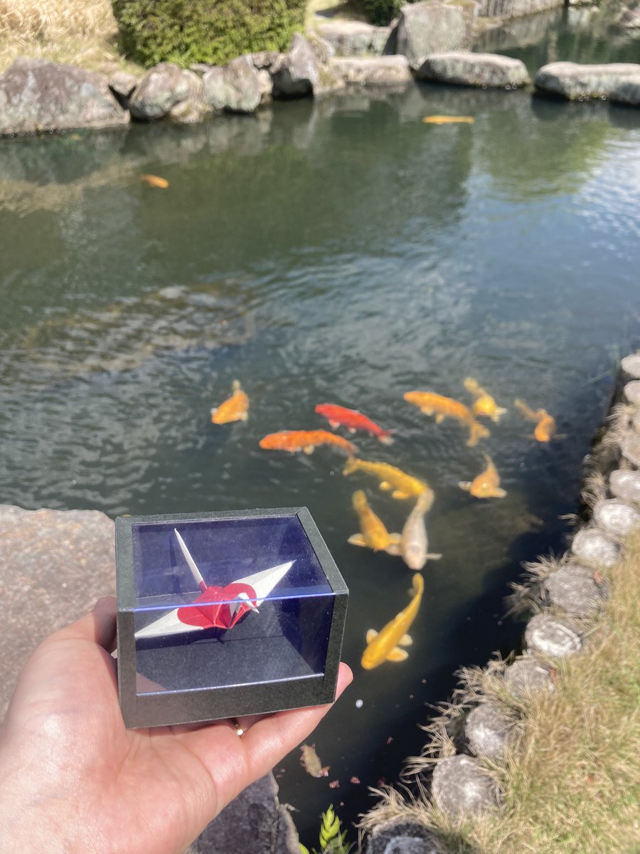 sissygoleon's tweet photo. Photos I took in Japan thread-
#japan https://t.co/eMMXTXU6qY