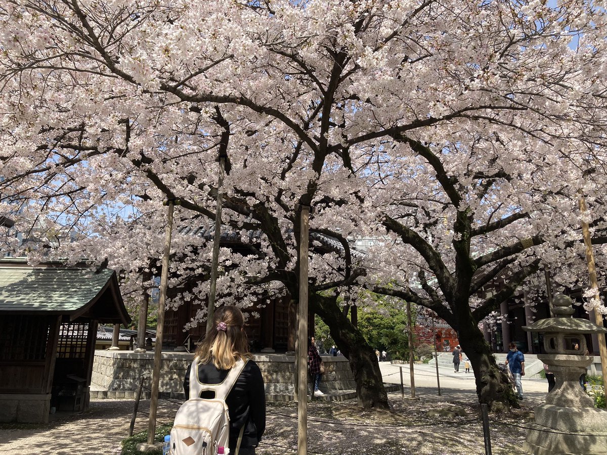 sissygoleon's tweet photo. Photos I took in Japan thread-
#japan https://t.co/eMMXTXU6qY