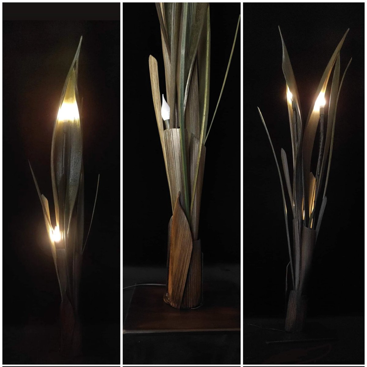 Ecocus_Piantane's tweet photo. #Lampada #piantana #ecocus modello #plant 
Colore verde con sfumature noce, tre lampadine #led base in legno e canne di bambù 
#design #ecosostenibile #arredamento #moderno #arredare #casa #lampade #piantane #catania #sicilia https://t.co/FI6W7FBwWd