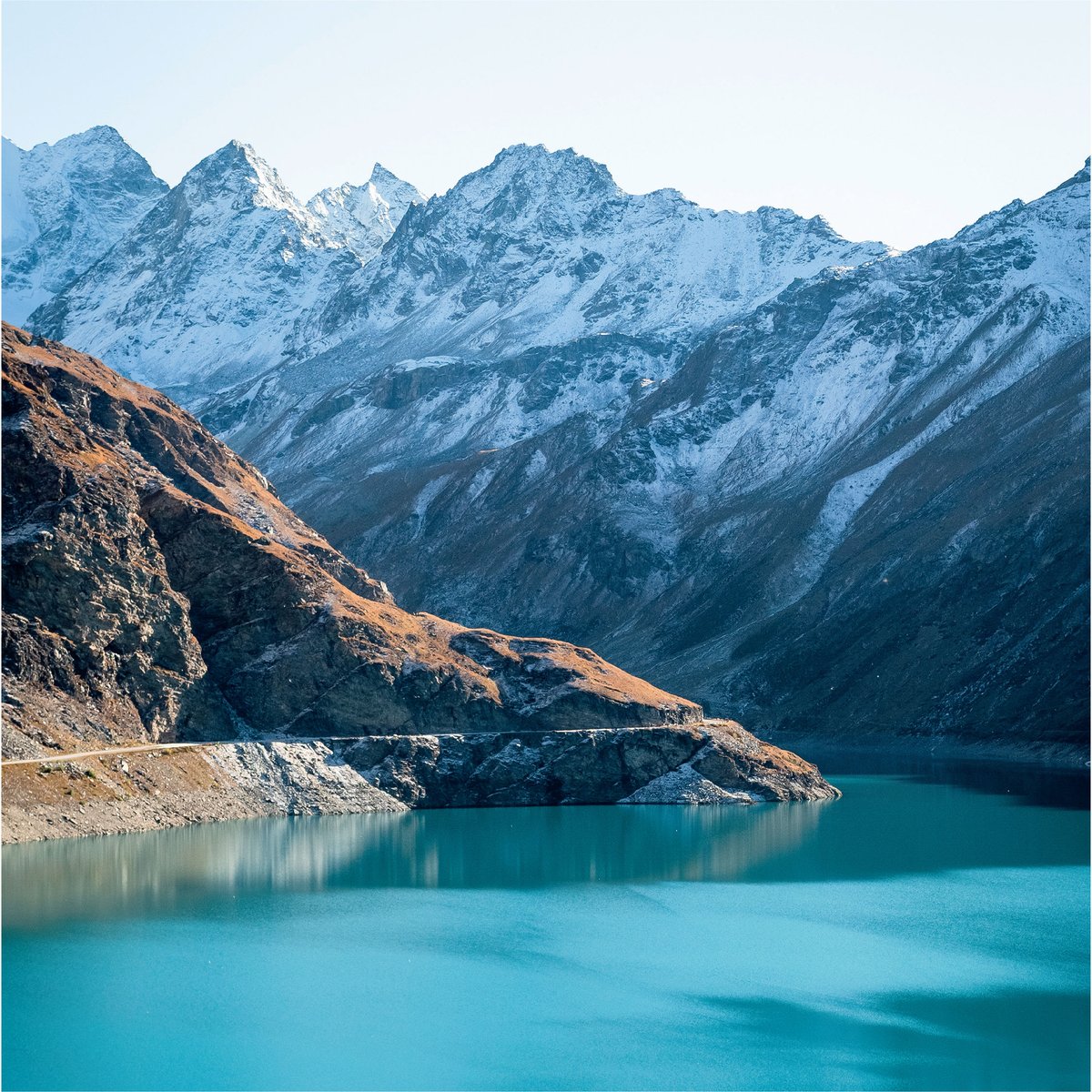 HELVETIQ tweet media