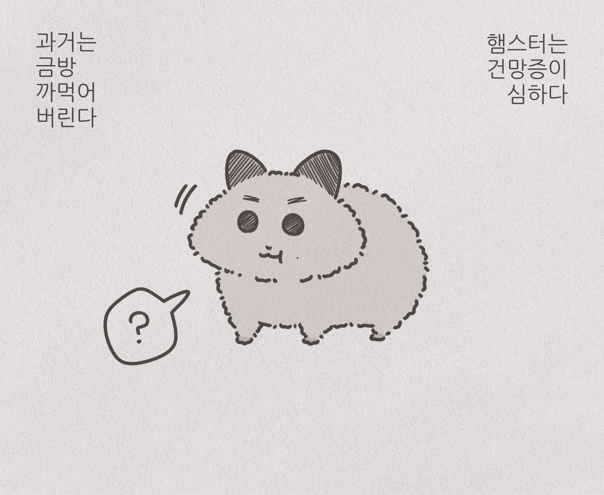 제주두리 이미지