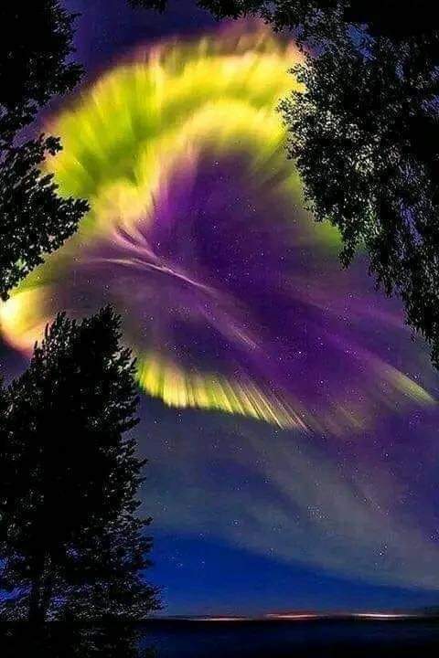 amazing_physics's tweet photo. Northern lights in the sky over Murmansk region, Russia! https://t.co/3PwVwJUZsx