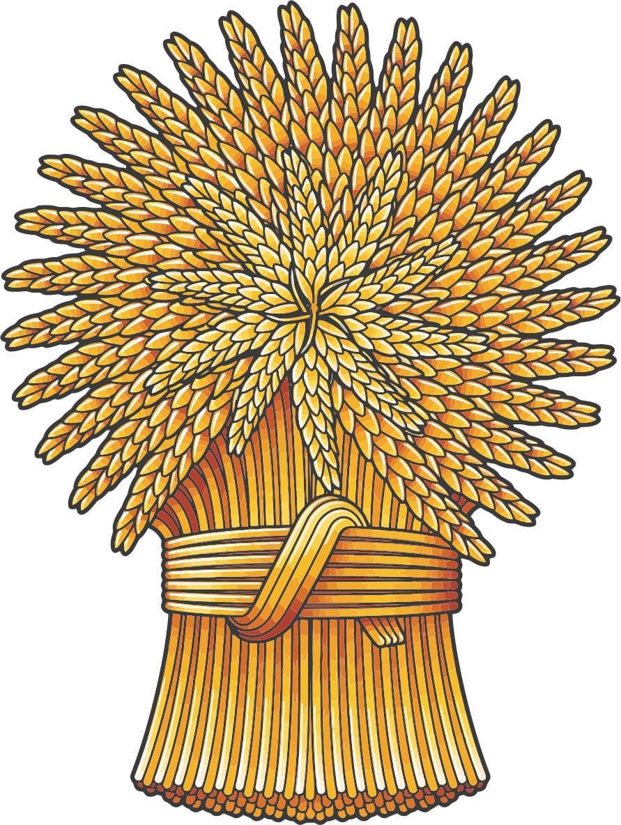 Combat Recce tweet media