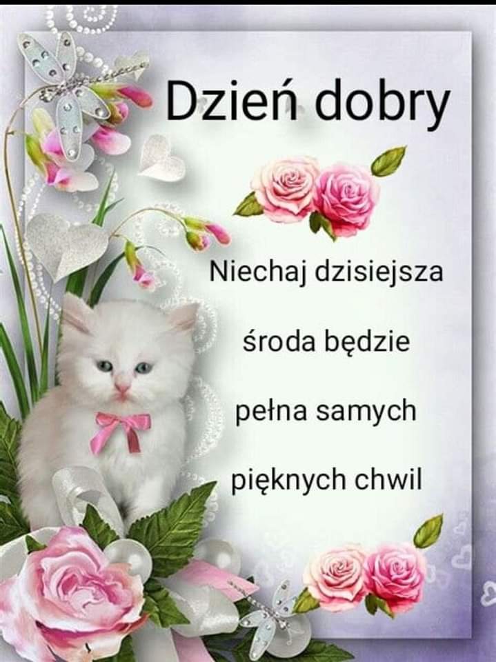 CreativeHarder's tweet photo. Pełna chwil... https://t.co/gE50SctP6k