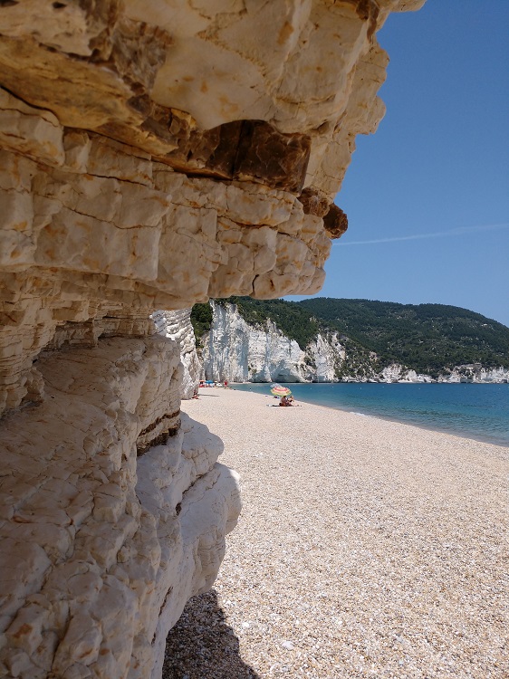 CiaoNico's tweet photo. Im apulischen #Gargano findet der Besucher eine atemberaubend schöne Natur. Die #Bucht von #Vignanotica mit ihrer erstaunlichen weißen hohen #Klippe gehört dazu. 👉https://t.co/JUoCbCKq20 @WeAreInPuglia @discoverypuglia @gargano_it @garganolab2_0 @ParcoGargano @SonoitaliaInfo https://t.co/uLvVofOBxb