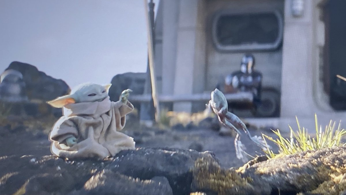 pascalstann's tweet photo. #TheMandalorian   spoilers
-
-
-
-
-
- 
din and grogu are living in a small cabin now.. this is so cute 😭 https://t.co/KnuiDhkLZR